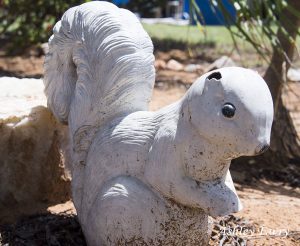 garden squirrel